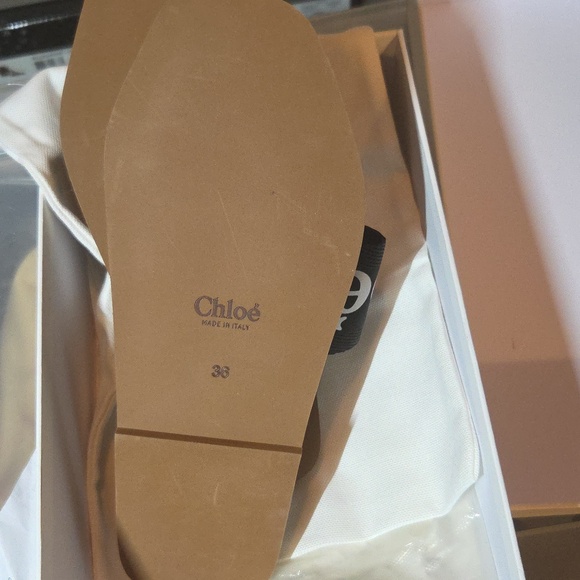 Chloe - Picture 8 of 14